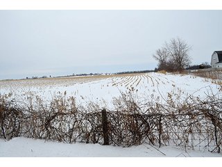Property photo 7 - AUCTION, 206 Contiguous Acres offered in 5 Tracts